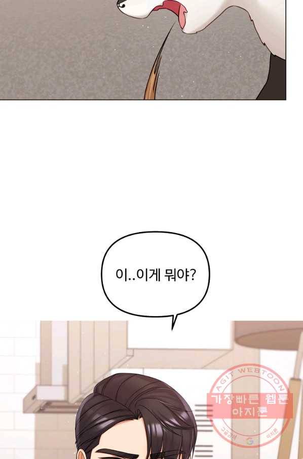우리집 고양이는 베지테리언 참견하지 마세요 81