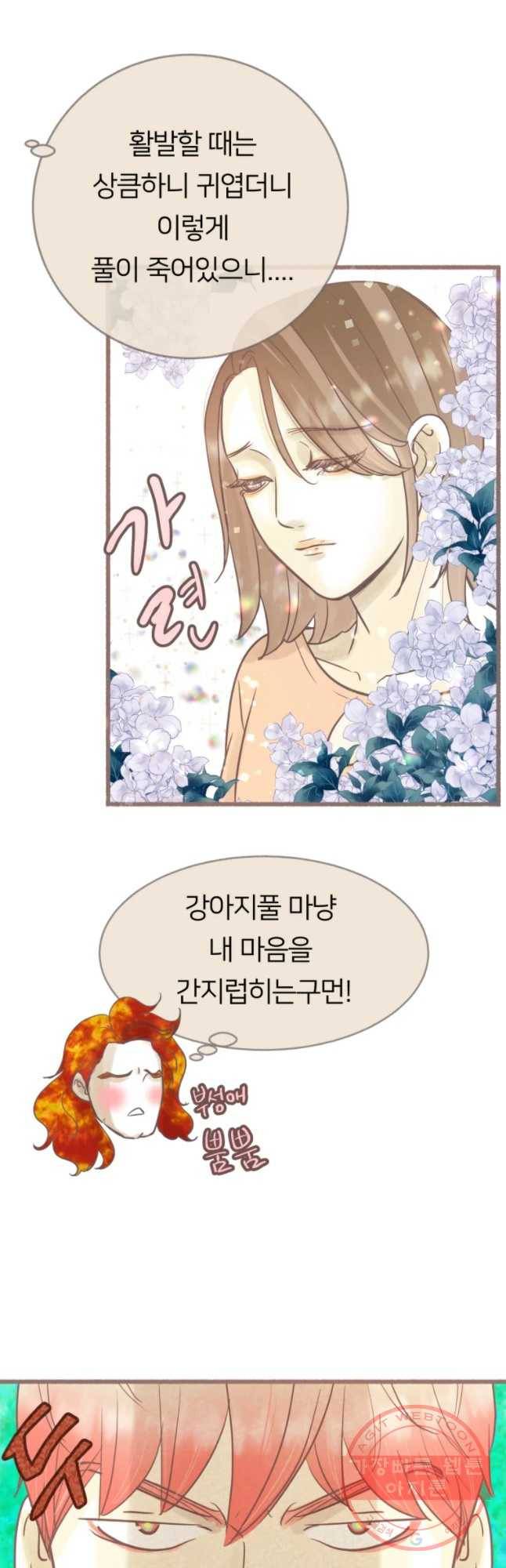 수린당 -비늘 고치는 집- 47화 2