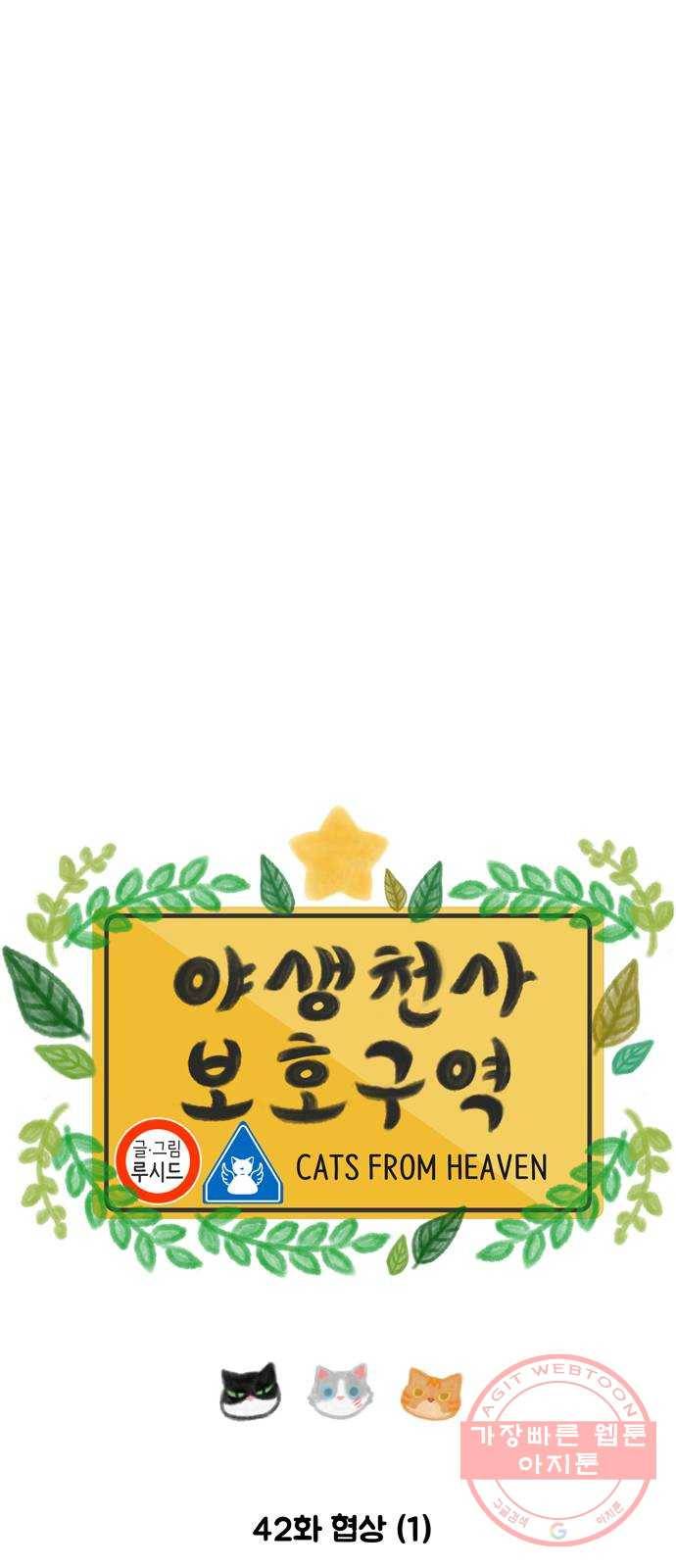 야생천사 보호구역 42화 협상 (1) 3