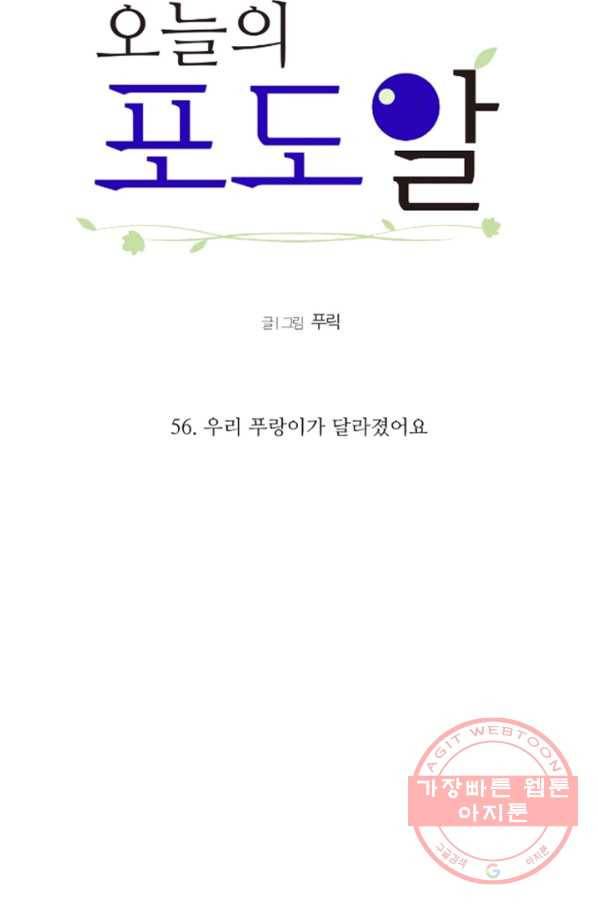 오늘의 포도알 56화 8