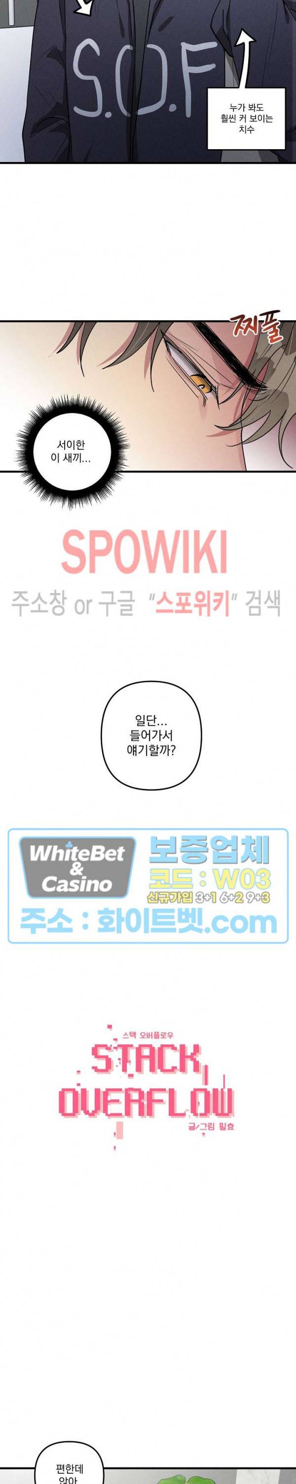 스택 오버플로우 47화 4