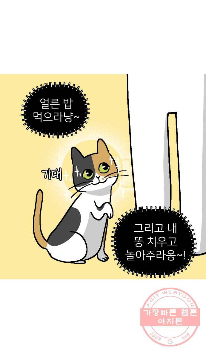 애옹식당 2화 이대로 멘탈 회복?! 3