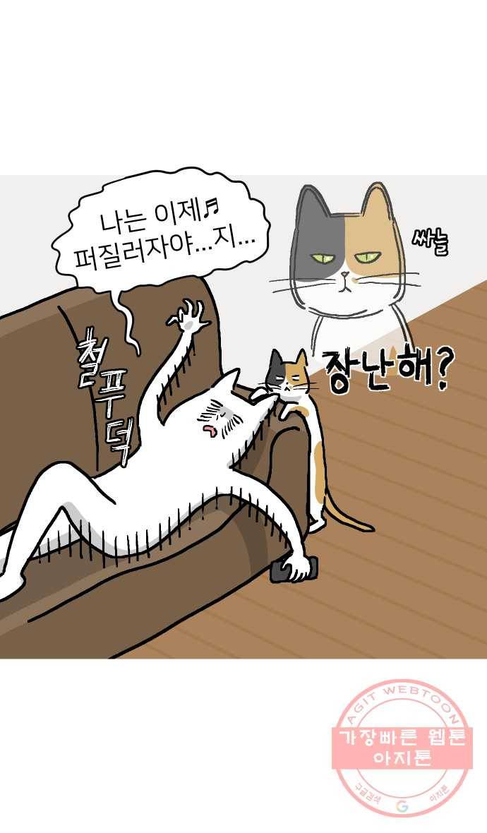 애옹식당 2화 이대로 멘탈 회복?! 5