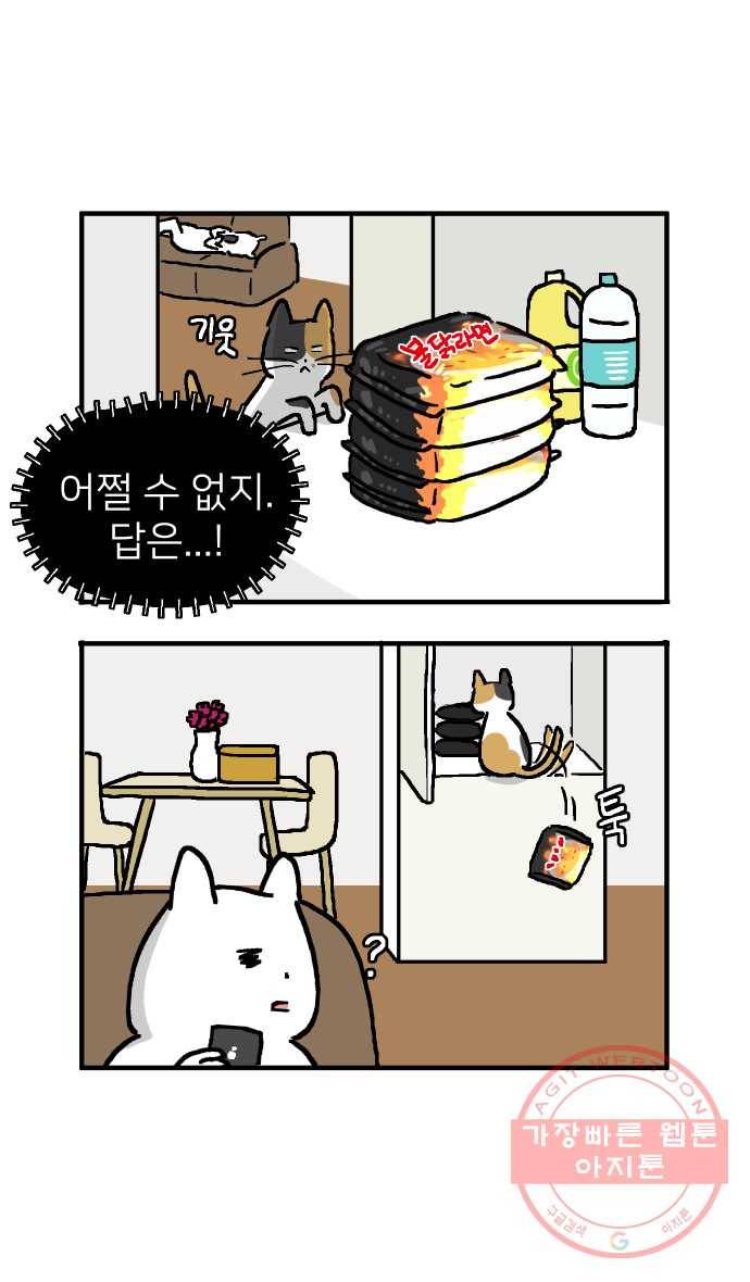 애옹식당 2화 이대로 멘탈 회복?! 12