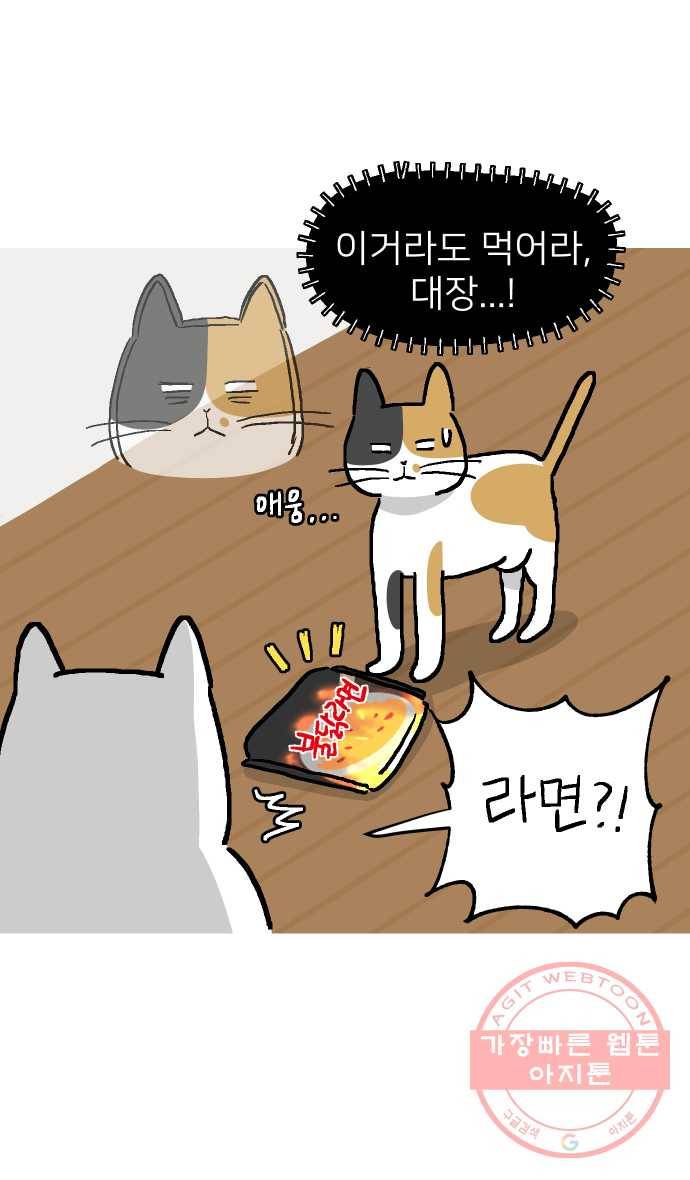 애옹식당 2화 이대로 멘탈 회복?! 13