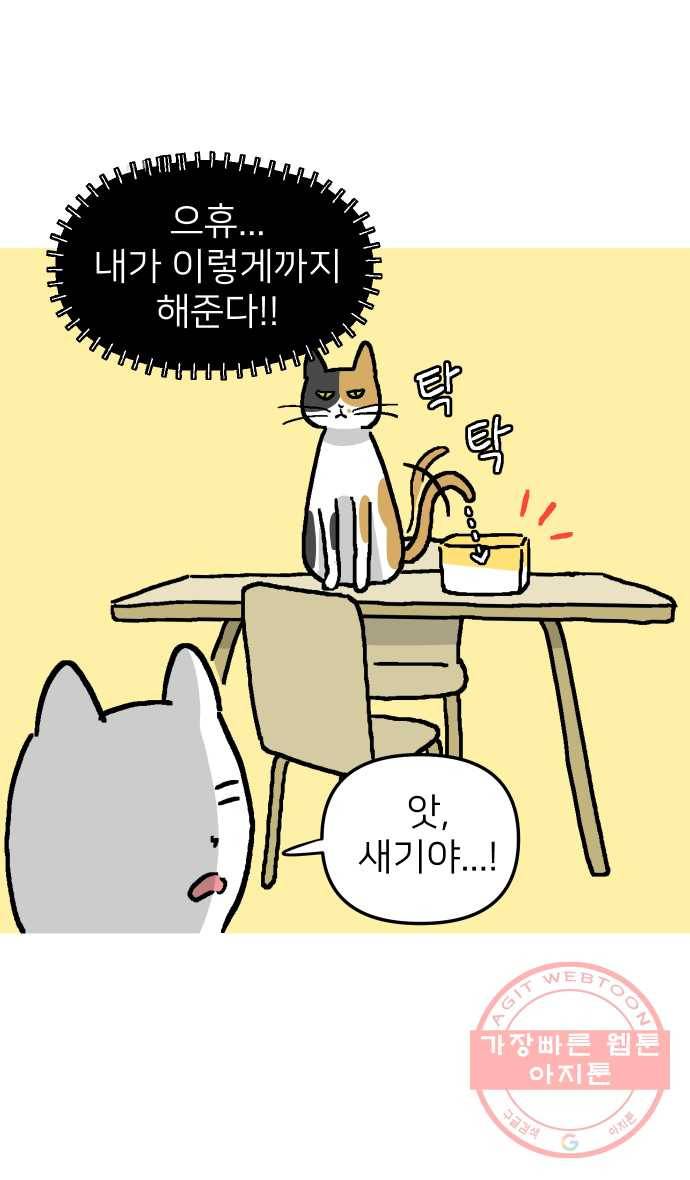 애옹식당 2화 이대로 멘탈 회복?! 19