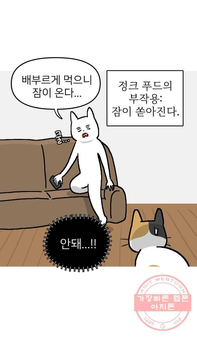 애옹식당 2화 이대로 멘탈 회복?! 35