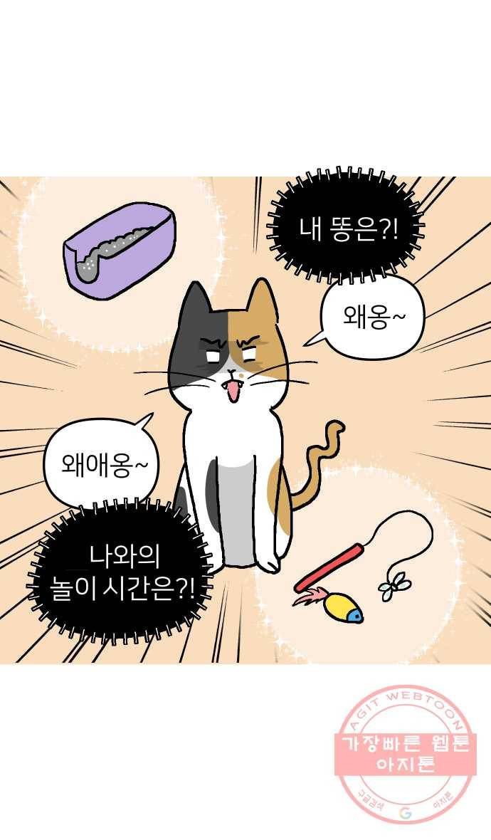애옹식당 2화 이대로 멘탈 회복?! 36