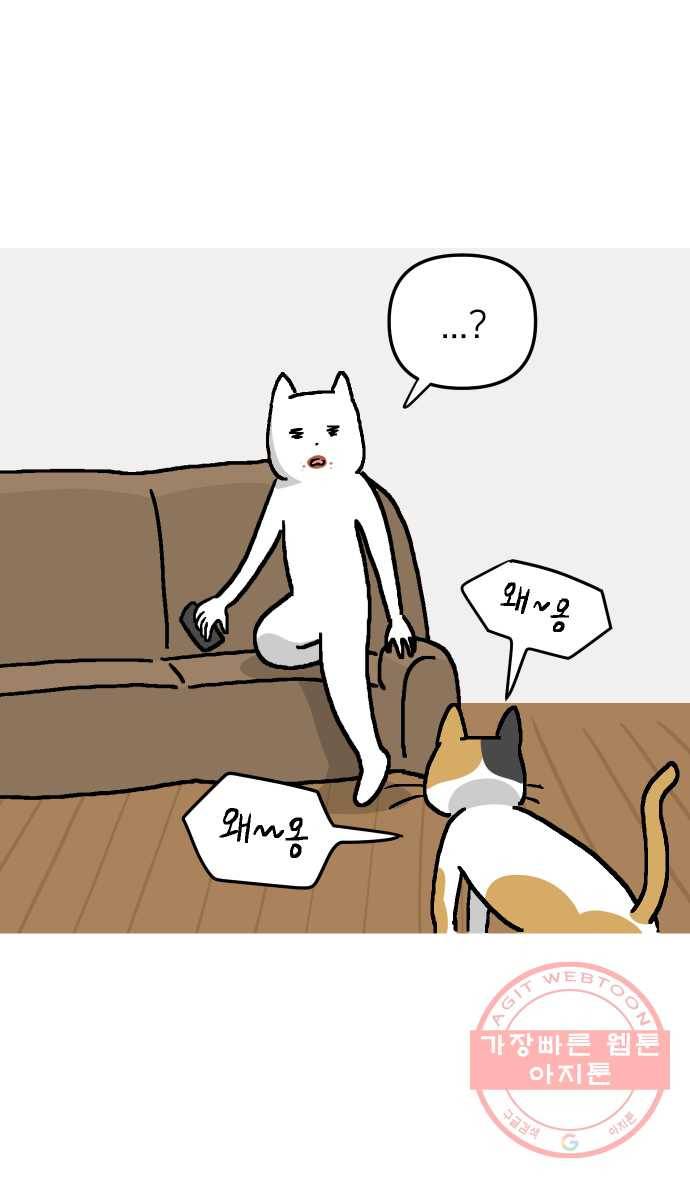 애옹식당 2화 이대로 멘탈 회복?! 37