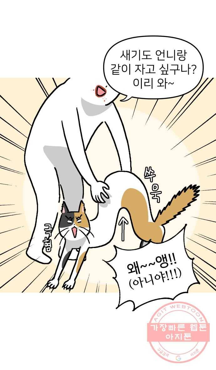 애옹식당 2화 이대로 멘탈 회복?! 38