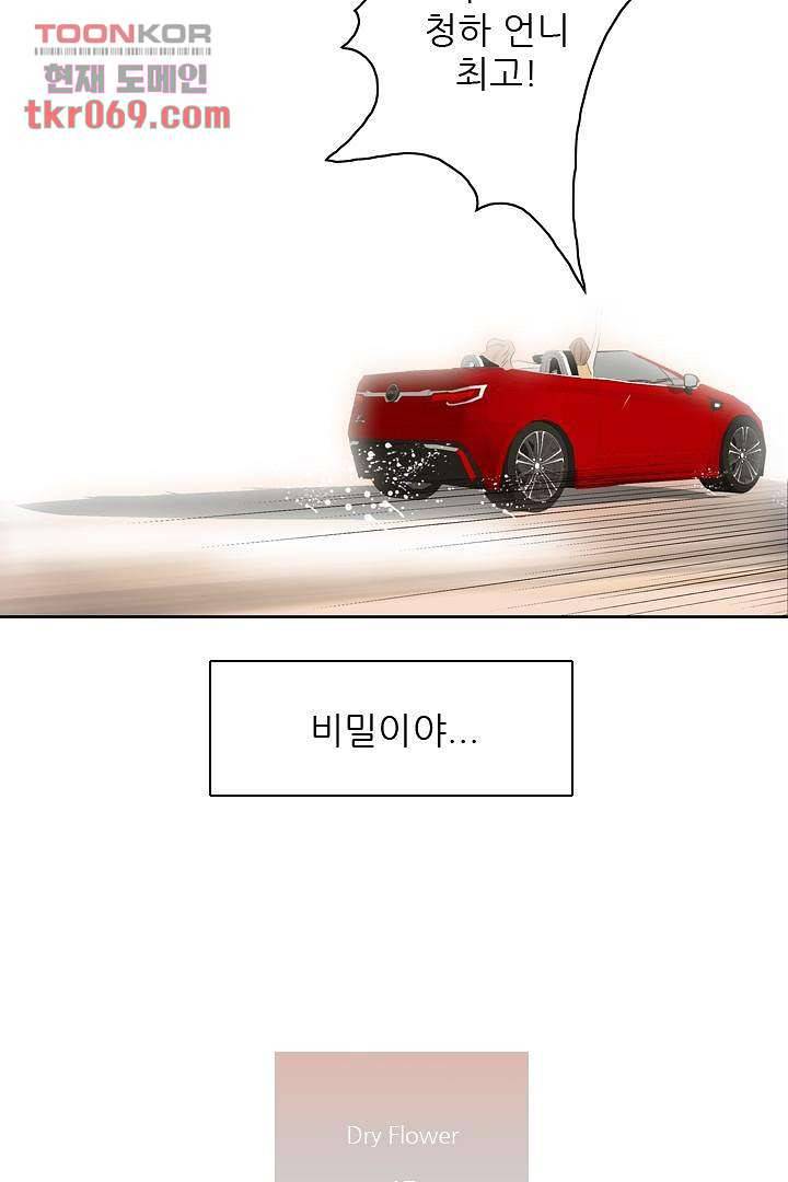 드라이 플라워 (Dry flower) 17화 49