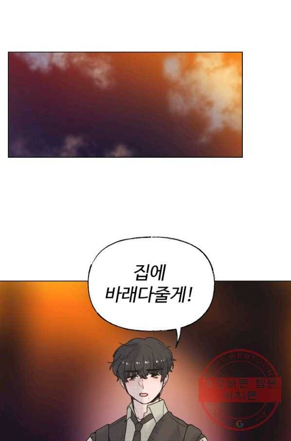 비타민C 비타민D 56화 1