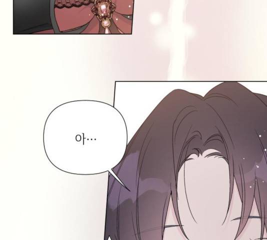 그 기사가 레이디로 사는 법 45화 67