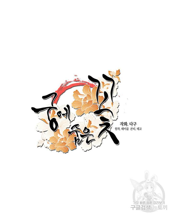 궁에 숨은 꽃 31화 9