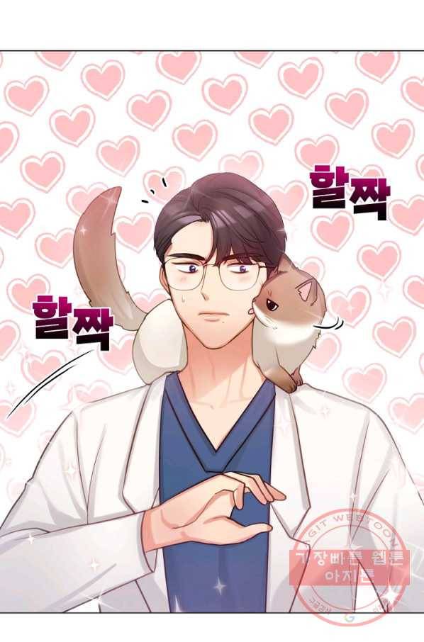 우리집 고양이는 베지테리언 은혜 갚는 고양이 28