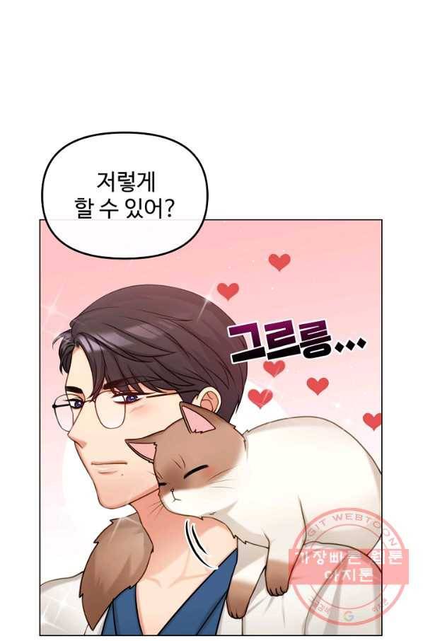 우리집 고양이는 베지테리언 은혜 갚는 고양이 36