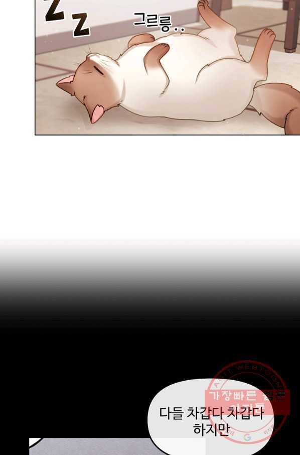 우리집 고양이는 베지테리언 은혜 갚는 고양이 62