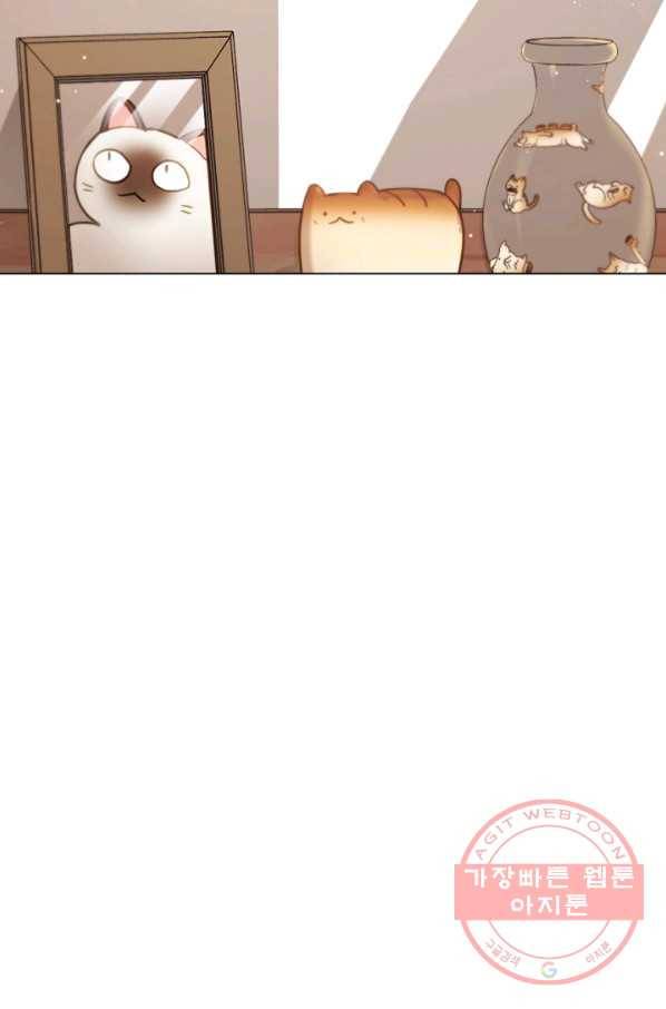 우리집 고양이는 베지테리언 은혜 갚는 고양이 72