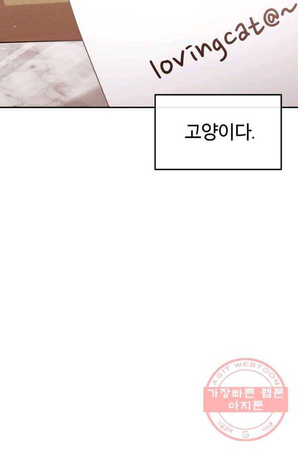 우리집 고양이는 베지테리언 은혜 갚는 고양이 75