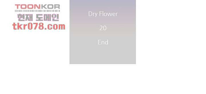 드라이 플라워 (Dry flower) 20화 45