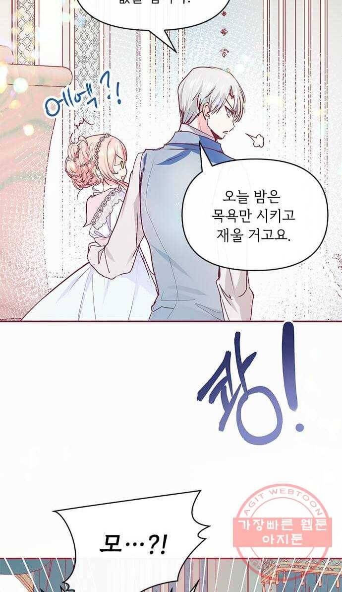 대공님, 실수였어요! 17화 27