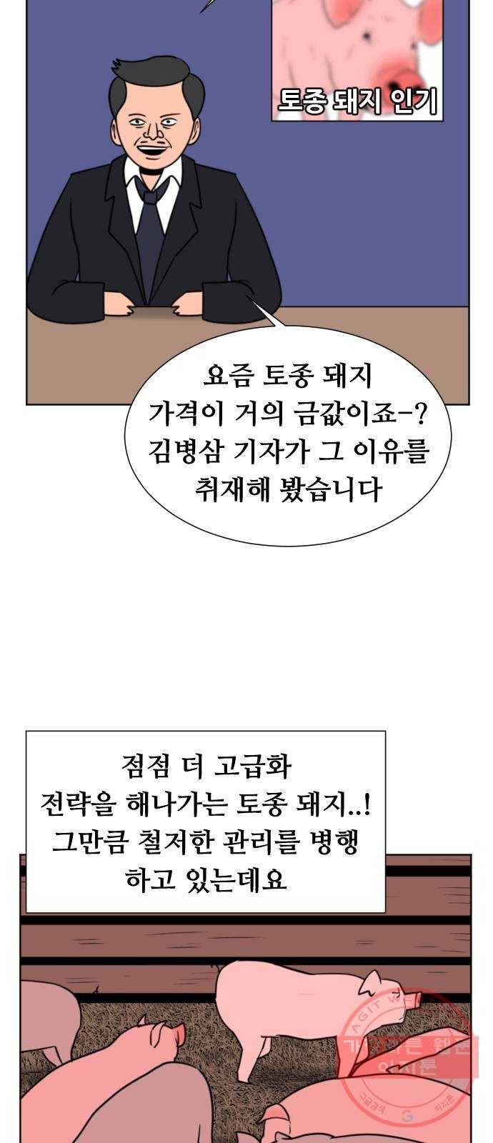 언덕 위의 제임스 316화 돼지 인간 (1) 8