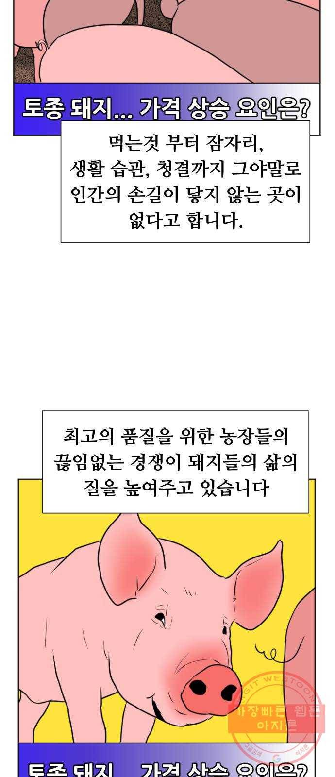 언덕 위의 제임스 316화 돼지 인간 (1) 9