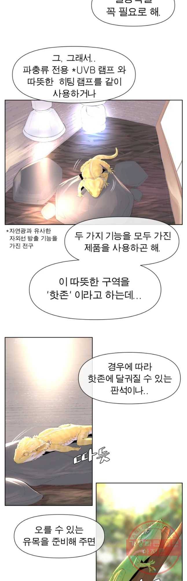 케어시트 19화 채집 10
