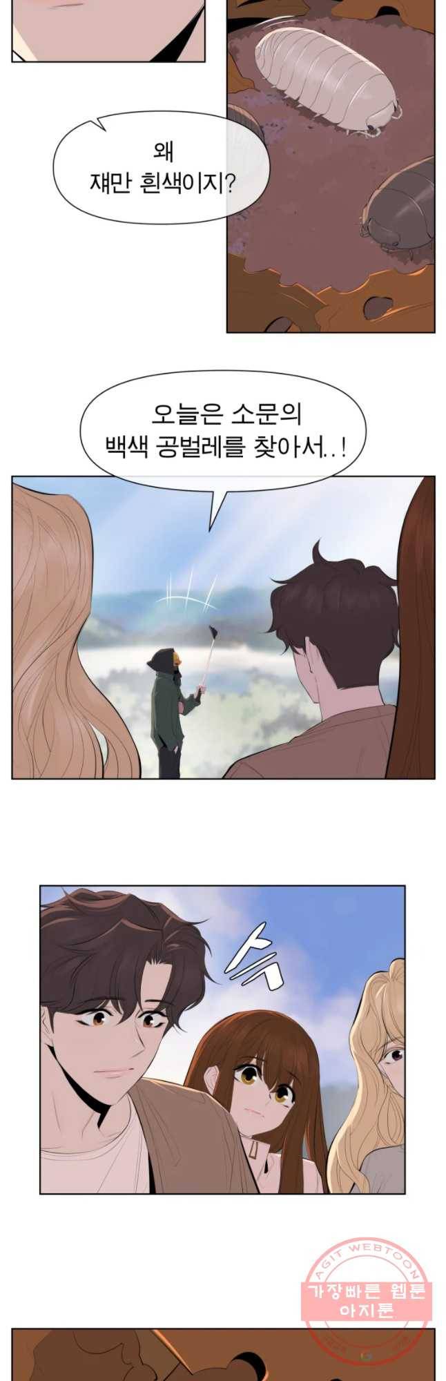 케어시트 19화 채집 16