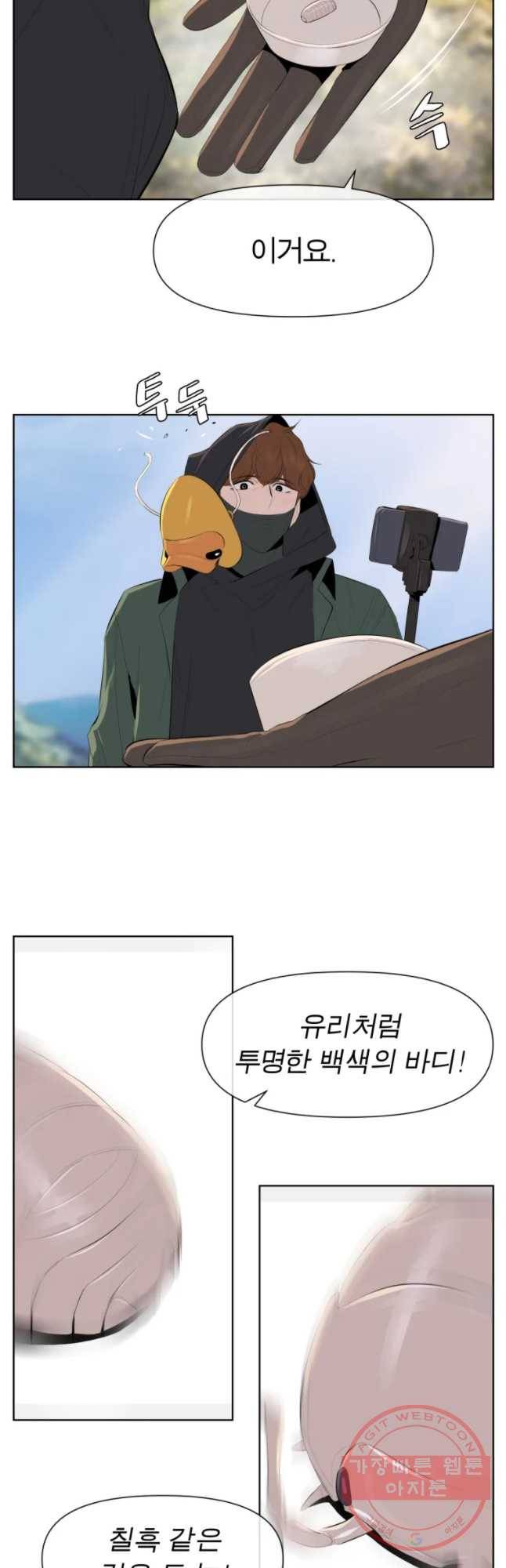 케어시트 19화 채집 19