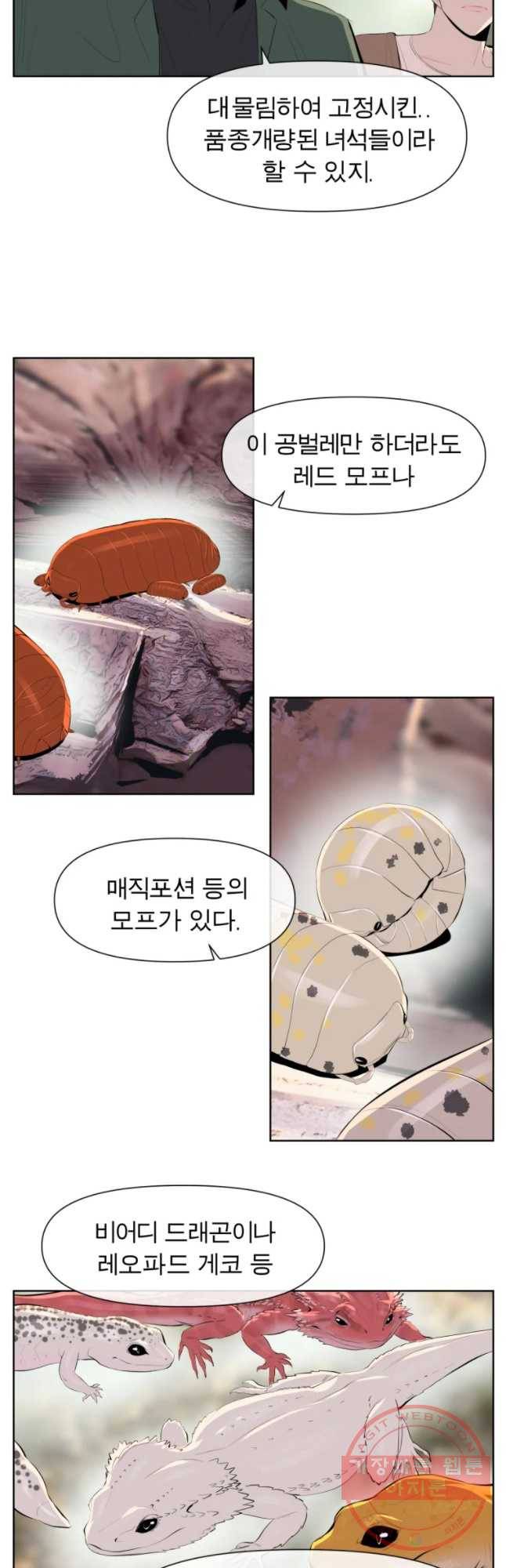 케어시트 19화 채집 25