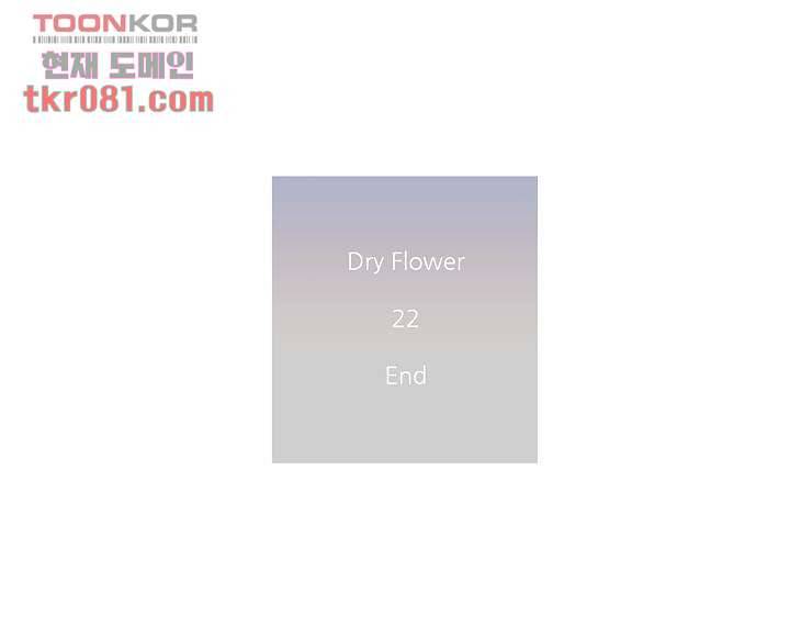 드라이 플라워 (Dry flower) 22화 41