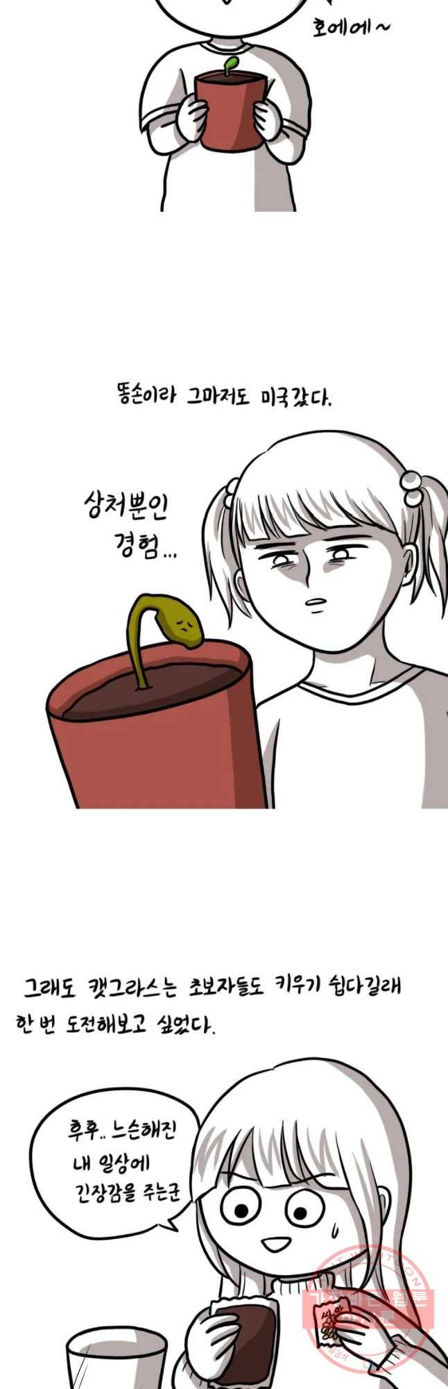 쓰레기 머학생 144화 식물 키우는 만화 3