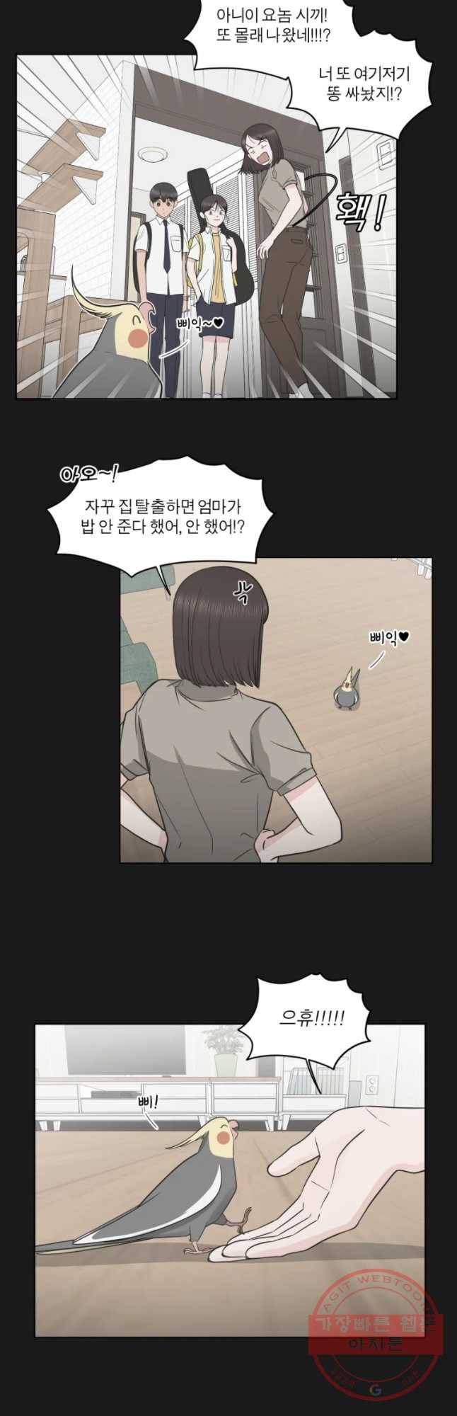 그녀의 앵무새 83화 이해할 수가 없네 27