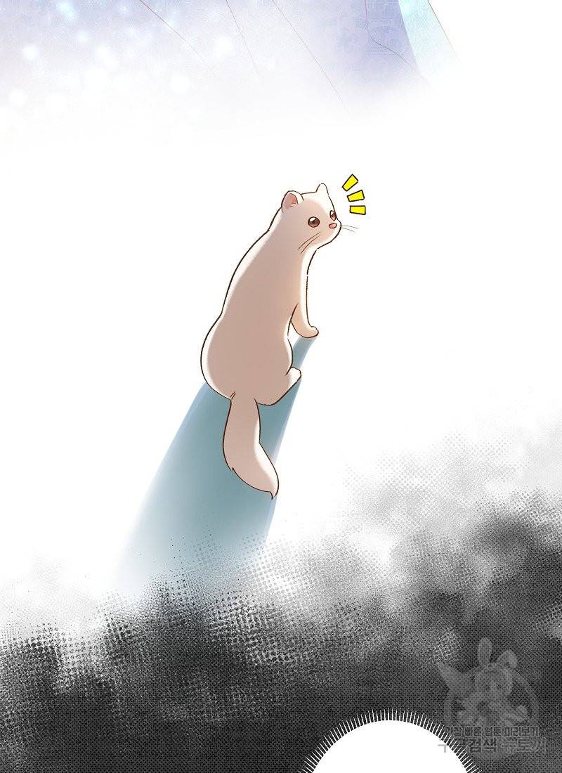 흰 족제비 양에게 죽음을! 7화 8