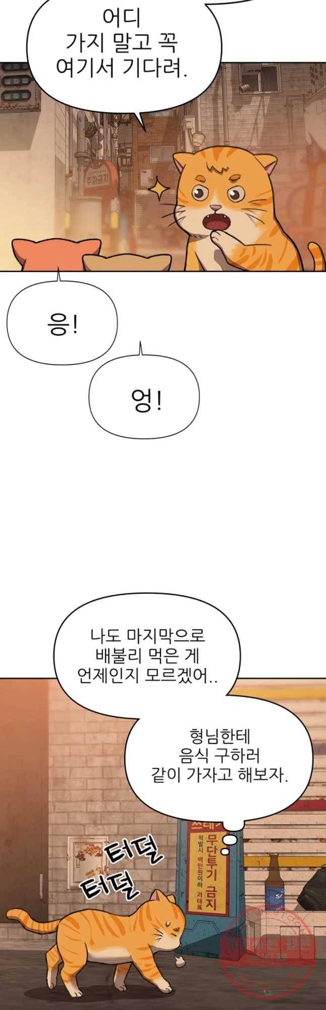 무지개다리 파수꾼 51화 18