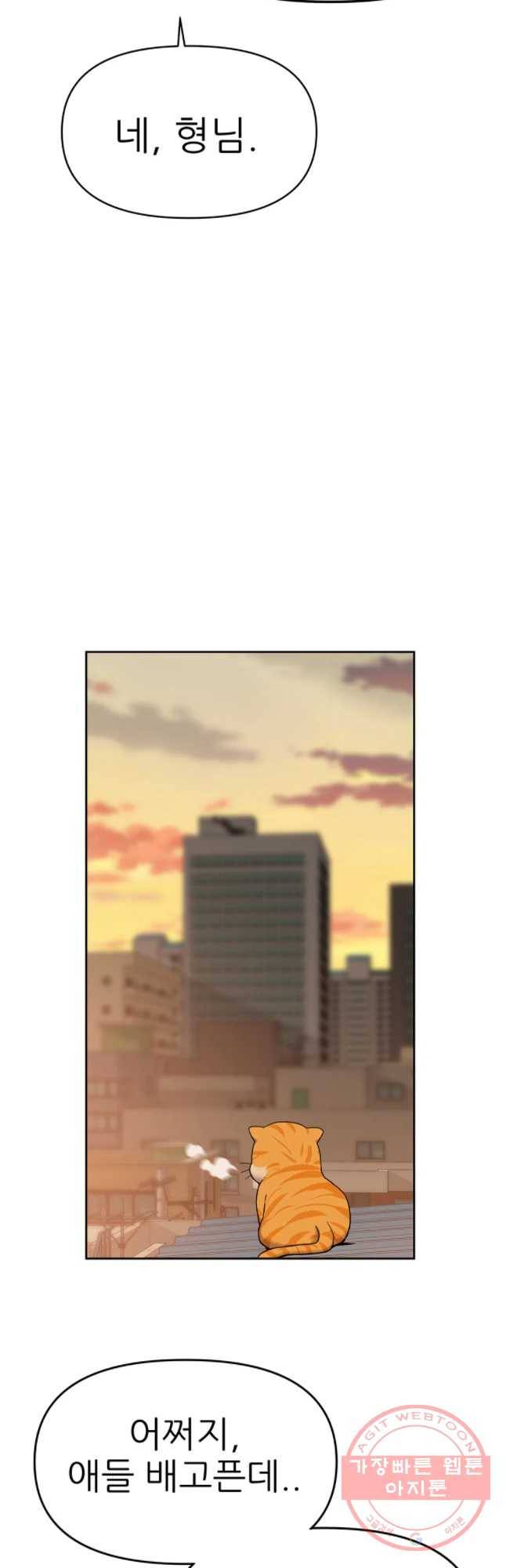 무지개다리 파수꾼 51화 22