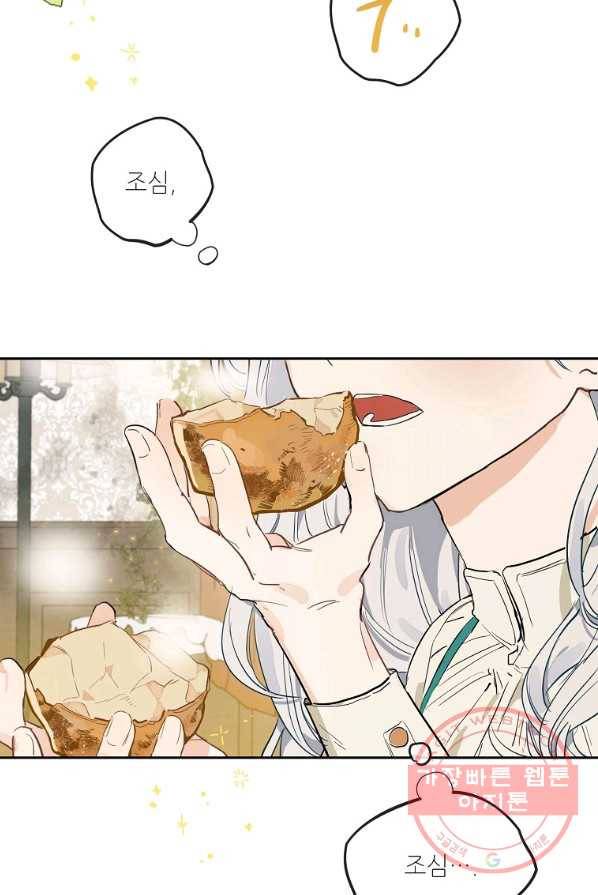 백작가의 사생아가 결혼하면 3화 7