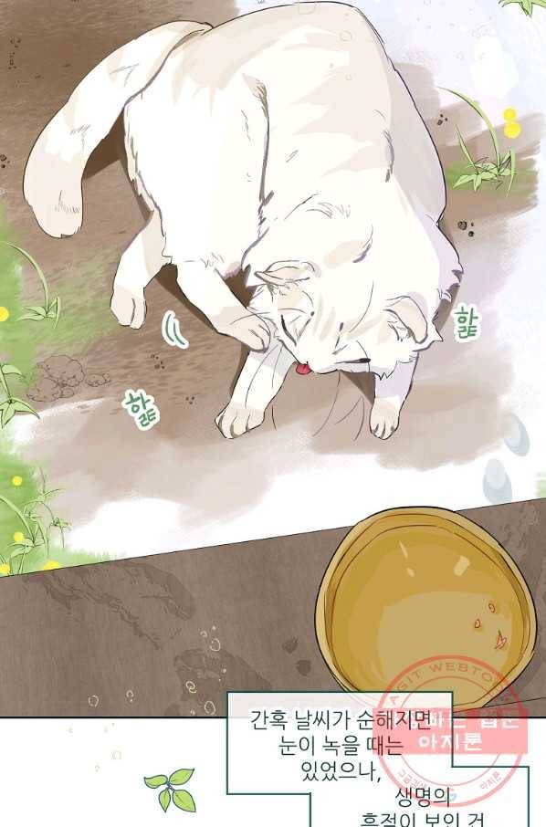 백작가의 사생아가 결혼하면 15화 13