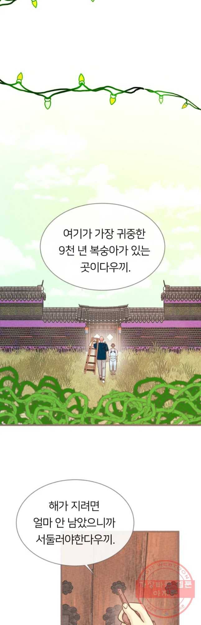 수린당 -비늘 고치는 집- 59화(시즌2 마지막) 39