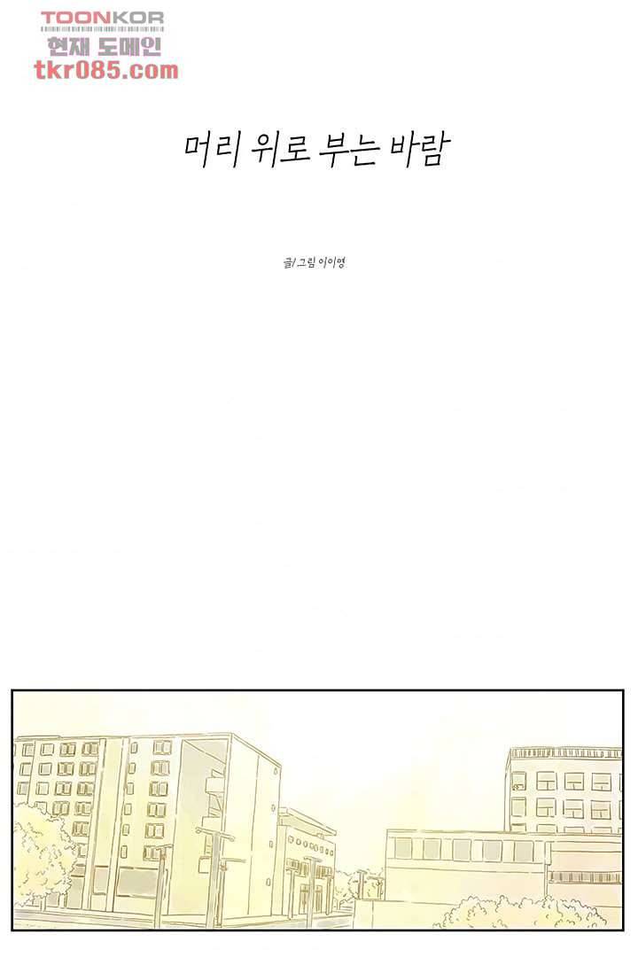 머리 위로 부는 바람 27화 11