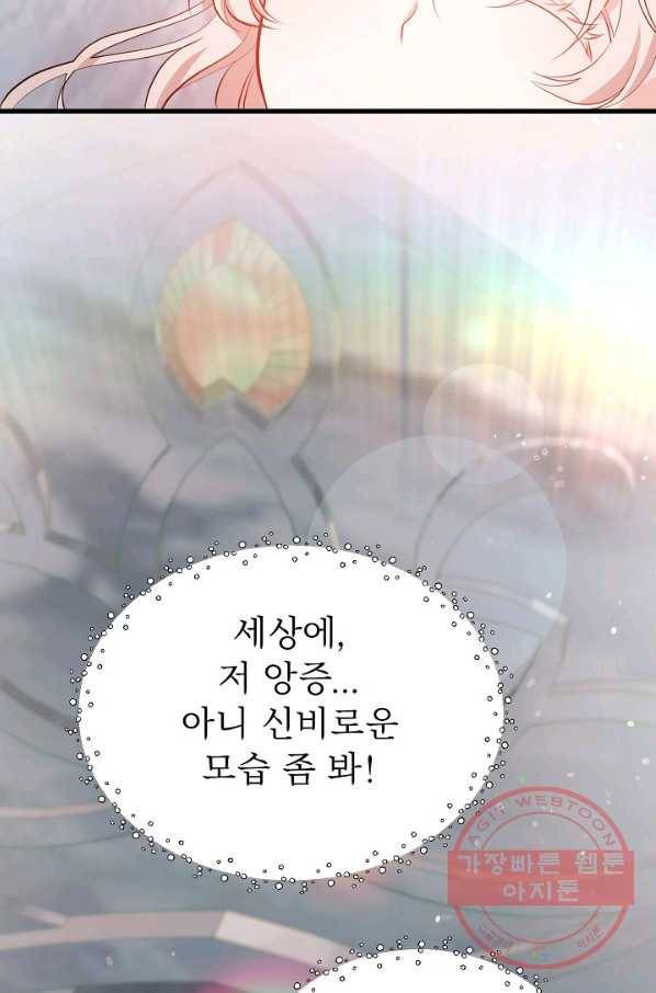 베이비 드래곤 42화 33