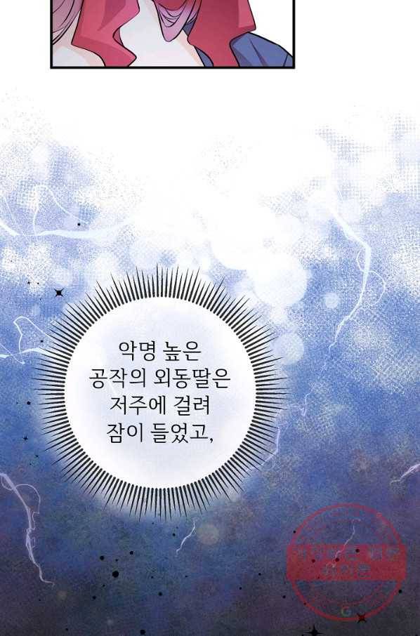 길들이는 공녀님 64화 9