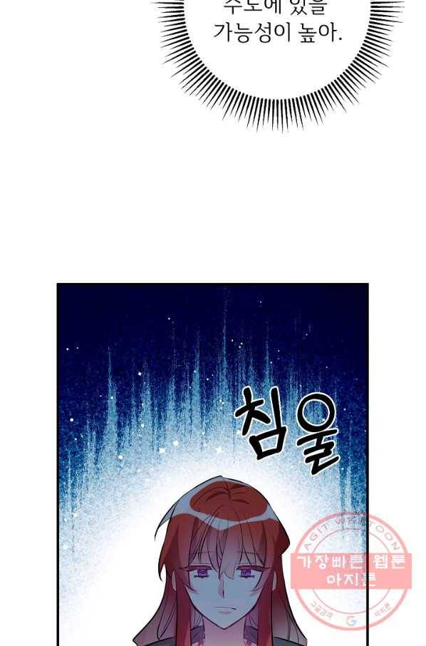 길들이는 공녀님 64화 28