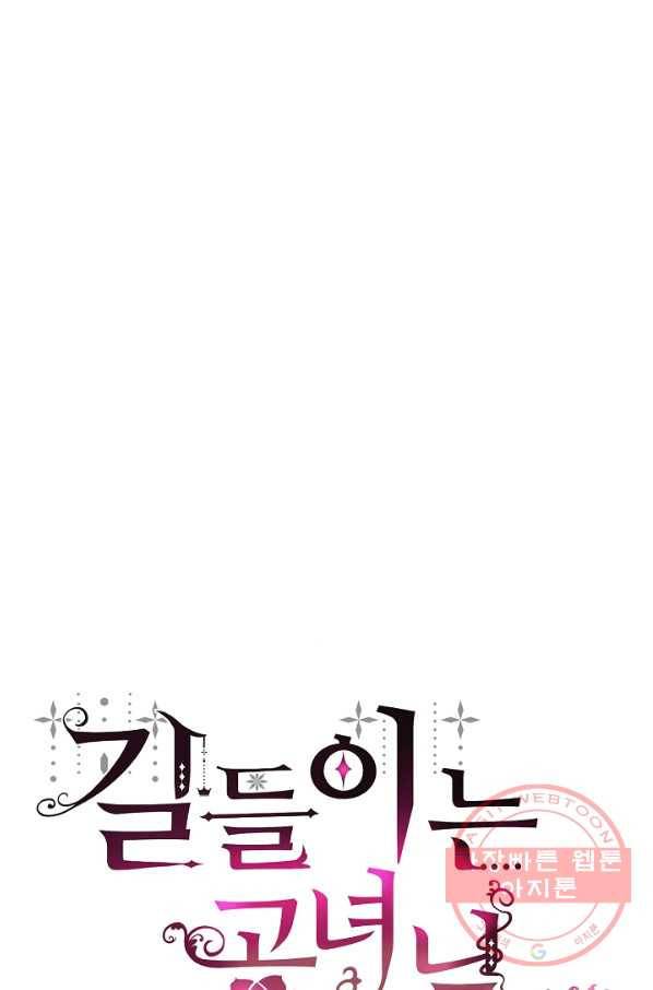 길들이는 공녀님 64화 42