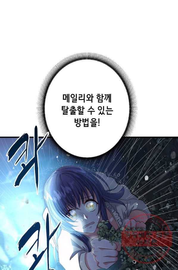 마법사를 위한 동화 9화 5
