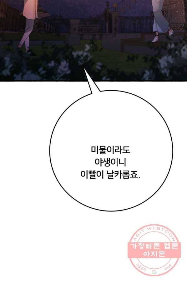 이제 그만 파혼해 드릴게요 17화 85