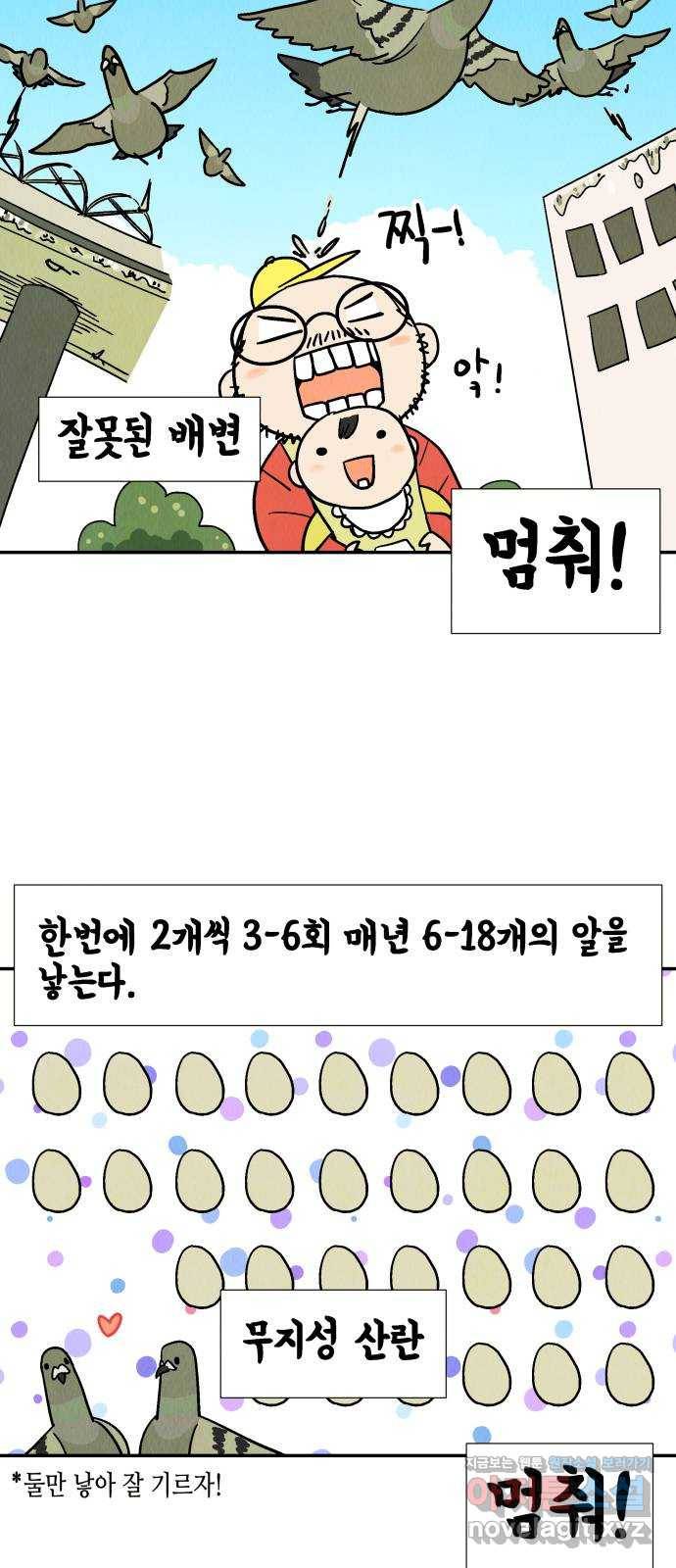 반짝반짝 작은 눈 39화 13