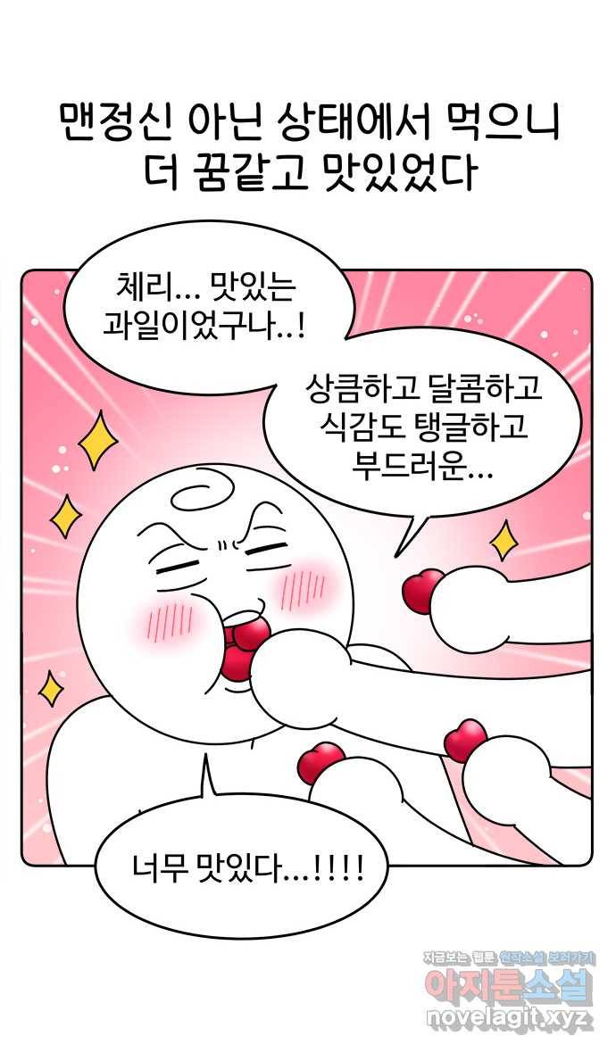먹는 인생 44화 체리 11