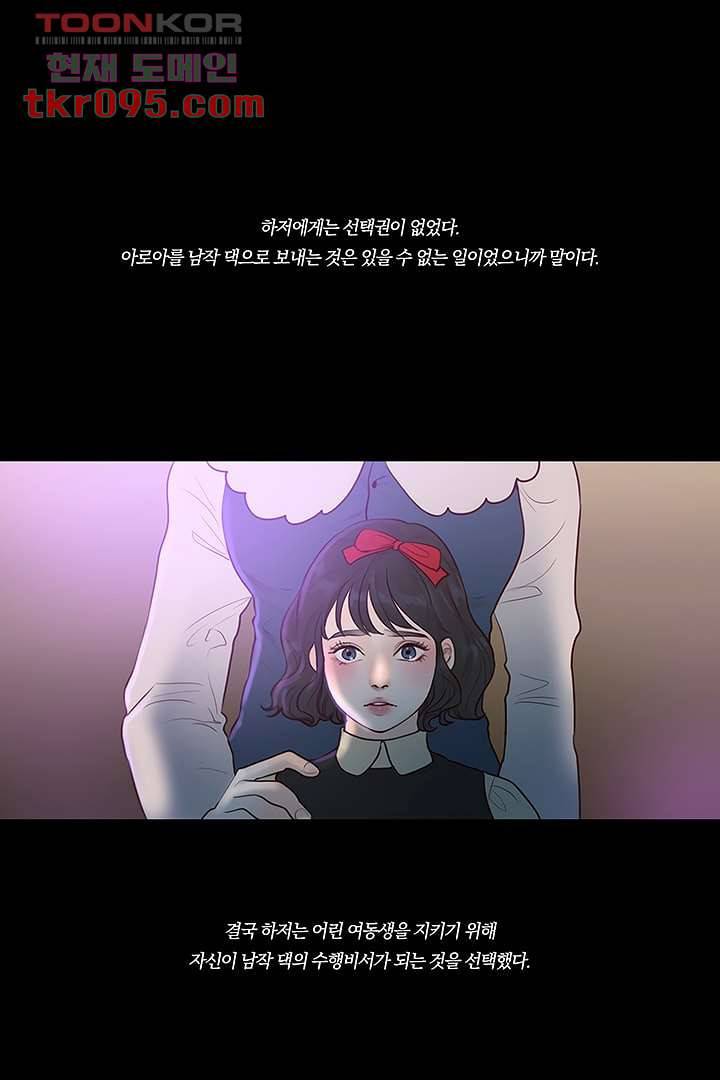초상화 26.5 15